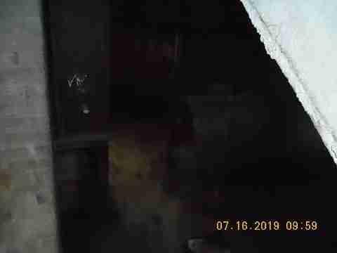 2900 Collingwood (22)_m.jpg